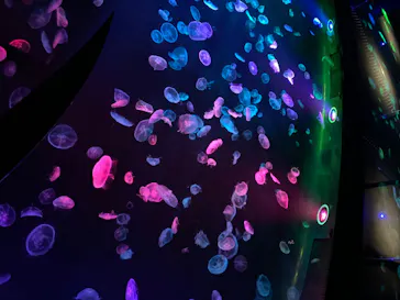 すみだ水族館に投稿された画像（2020/8/9）