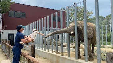 しろとり動物園に投稿された画像（2020/8/9）