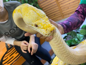しろとり動物園に投稿された画像（2020/8/9）