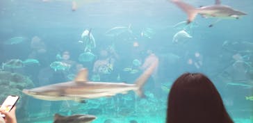 株式会社Gに投稿された画像（2020/8/9）