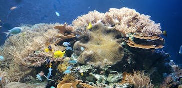 株式会社Gに投稿された画像（2020/8/9）