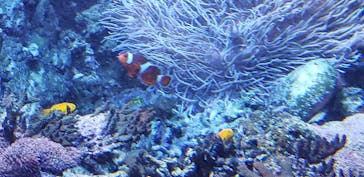 株式会社Gに投稿された画像（2020/8/9）