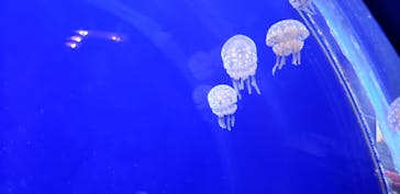 株式会社Gに投稿された画像（2020/8/9）