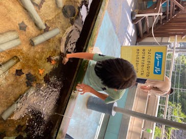 鳥羽水族館に投稿された画像（2020/8/9）