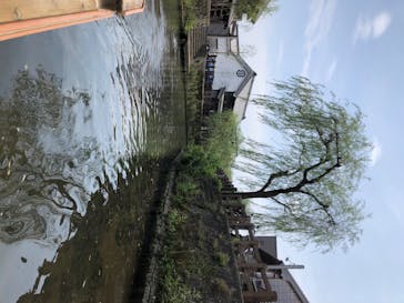 小江戸さわら 舟めぐりに投稿された画像（2020/8/9）