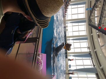 アクアワールド茨城県大洗水族館に投稿された画像（2020/8/9）