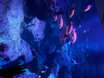 すみだ水族館に投稿された画像（2020/8/9）