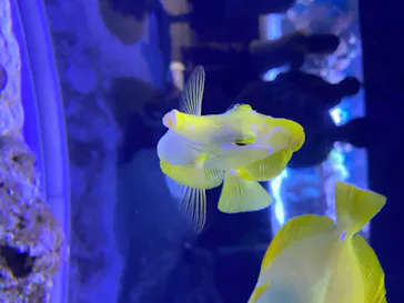 すみだ水族館に投稿された画像（2020/8/9）