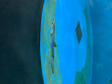 仙台うみの杜水族館に投稿された画像（2020/8/9）