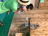 伊豆シャボテン動物公園に投稿された画像（2020/8/9）