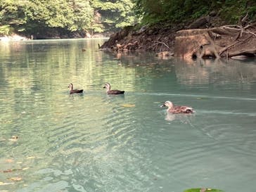 ぼちぼちアドベンチャーすそのに投稿された画像（2020/8/9）