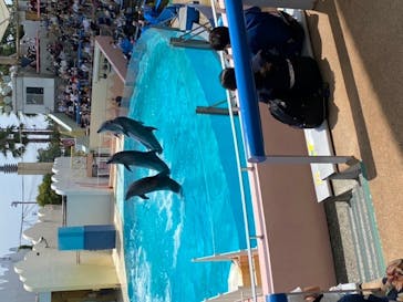 株式会社Gに投稿された画像（2020/8/9）