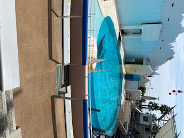 株式会社Gに投稿された画像（2020/8/9）