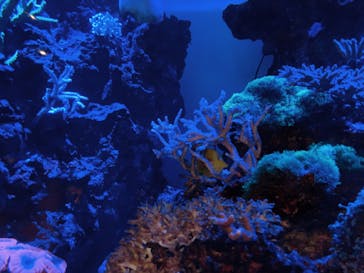 マリンワールド海の中道に投稿された画像（2020/8/9）