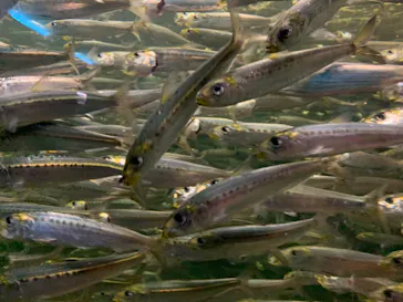 株式会社Gに投稿された画像（2020/8/9）