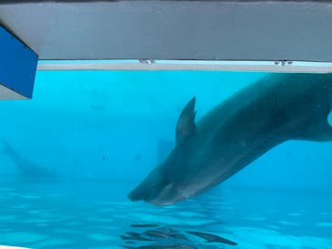 株式会社Gに投稿された画像（2020/8/9）