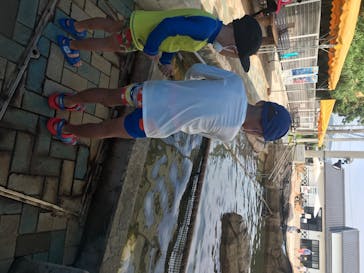 志摩市浜島磯体験施設 海ほおずきに投稿された画像（2020/8/9）