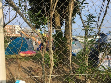 蓮沼ウォーターガーデンに投稿された画像（2020/8/9）