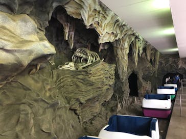 としまえんに投稿された画像（2020/8/9）