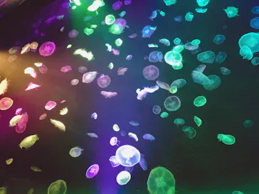 すみだ水族館に投稿された画像（2020/8/9）