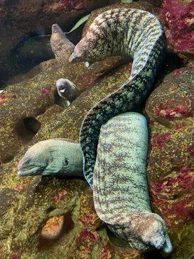 株式会社Gに投稿された画像（2020/8/9）