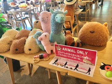 伊豆シャボテン動物公園に投稿された画像（2020/8/9）