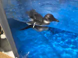 仙台うみの杜水族館に投稿された画像（2020/8/9）