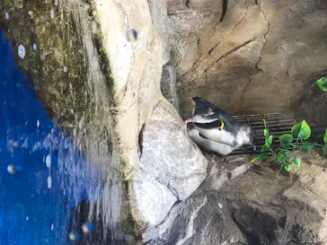 仙台うみの杜水族館に投稿された画像（2020/8/9）