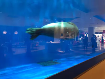 仙台うみの杜水族館に投稿された画像（2020/8/9）