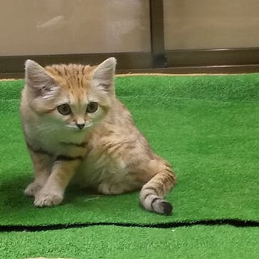 那須どうぶつ王国に投稿された画像（2020/8/9）