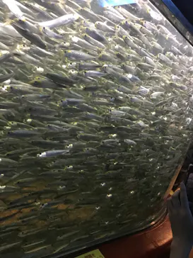 株式会社Gに投稿された画像（2020/8/9）