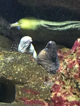 株式会社Gに投稿された画像（2020/8/9）