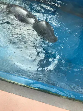 株式会社Gに投稿された画像（2020/8/9）