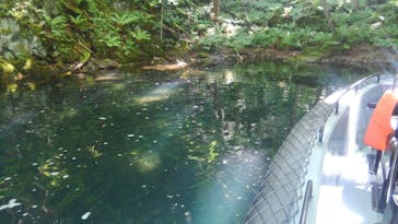 グリランド株式会社に投稿された画像（2020/8/9）