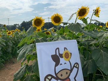 成田ゆめ牧場に投稿された画像（2020/8/9）