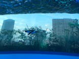 サンシャイン水族館に投稿された画像（2020/8/10）