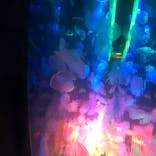 すみだ水族館に投稿された画像（2020/8/10）