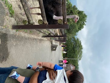 群馬サファリパークに投稿された画像（2020/8/9）