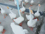 東武動物公園に投稿された画像（2020/8/10）
