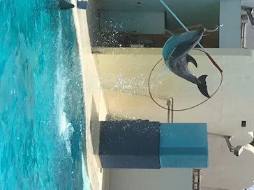 株式会社Gに投稿された画像（2020/8/9）