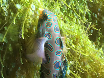 株式会社Gに投稿された画像（2020/8/9）