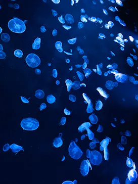 すみだ水族館に投稿された画像（2020/8/9）