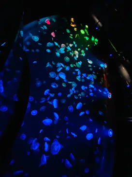 すみだ水族館に投稿された画像（2020/8/9）