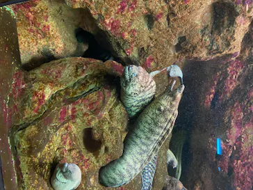 株式会社Gに投稿された画像（2020/8/10）