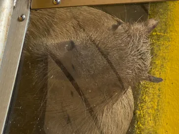 株式会社Gに投稿された画像（2020/8/10）