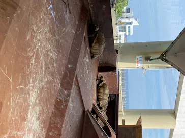 株式会社Gに投稿された画像（2020/8/10）