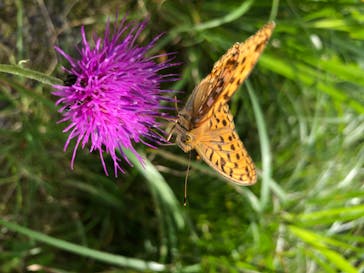 サンメドウズ清里に投稿された画像（2020/8/10）