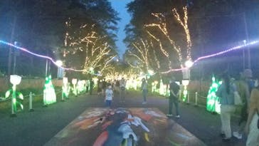 としまえんに投稿された画像（2020/8/10）