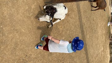 成田ゆめ牧場に投稿された画像（2020/8/10）