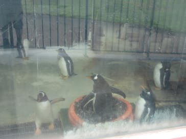 登別マリンパークニクスに投稿された画像（2020/8/10）